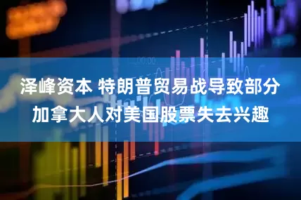 泽峰资本 特朗普贸易战导致部分加拿大人对美国股票失去兴趣