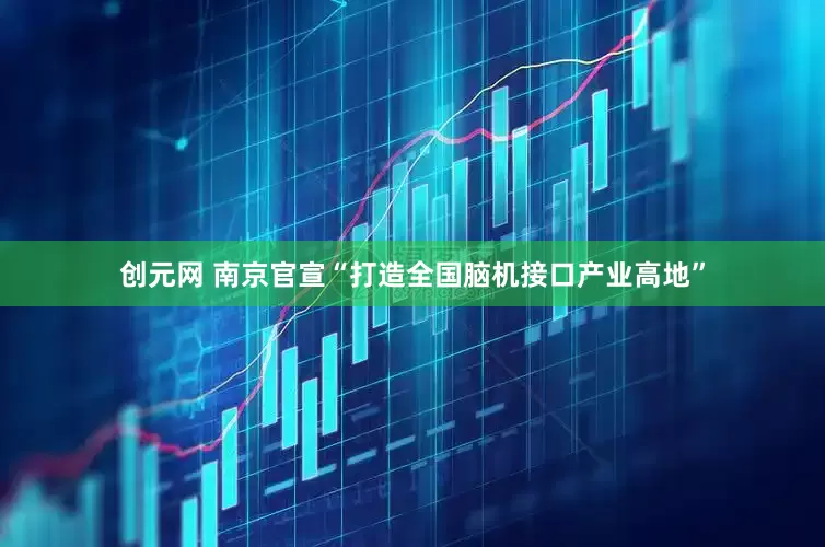 创元网 南京官宣“打造全国脑机接口产业高地”