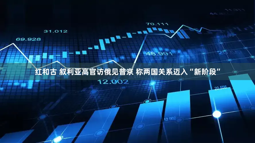 红和古 叙利亚高官访俄见普京 称两国关系迈入“新阶段”